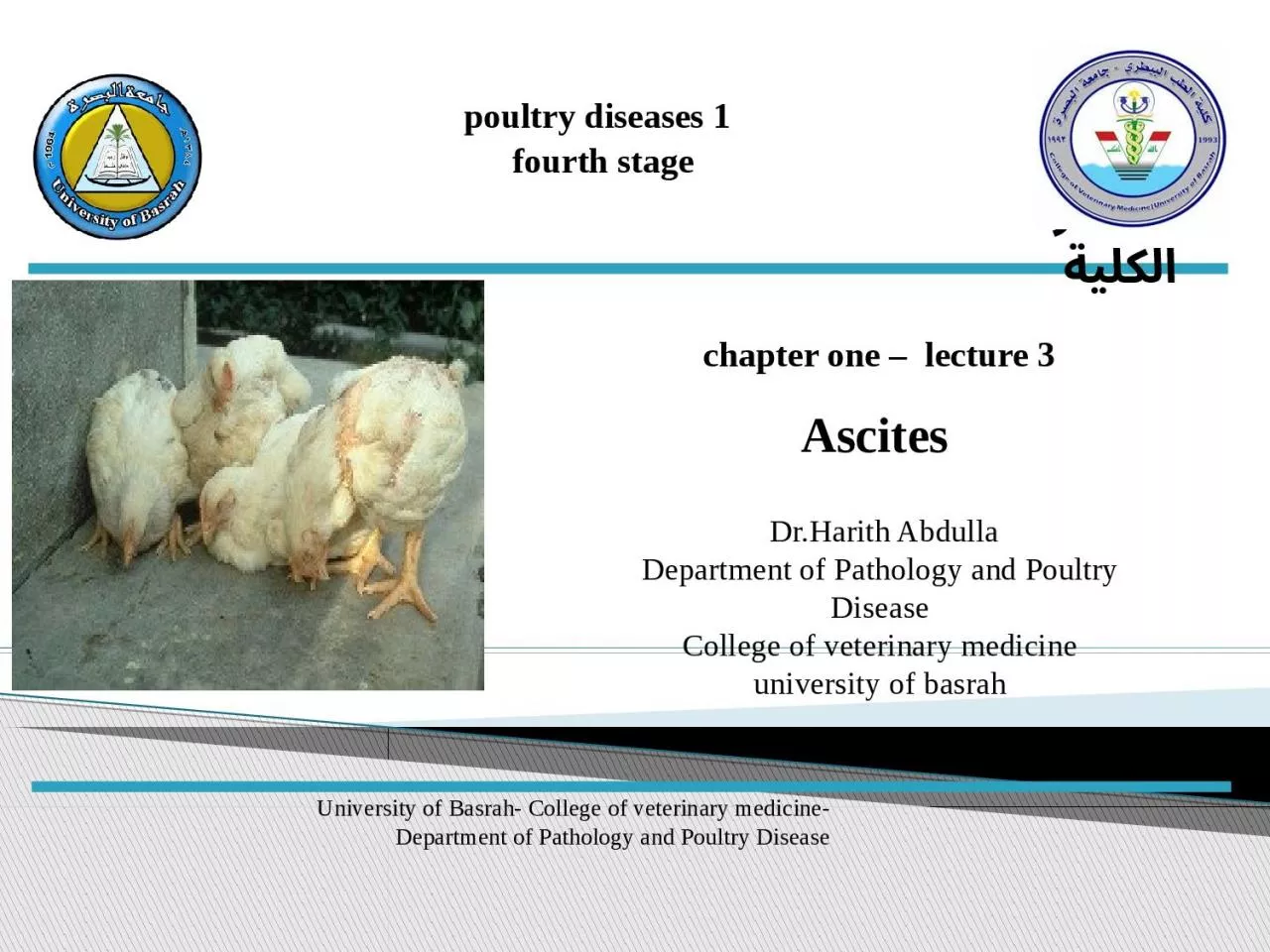 PPT-poultry diseases 1 fourth