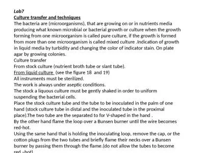 Lab7 Culture transfer and techniques