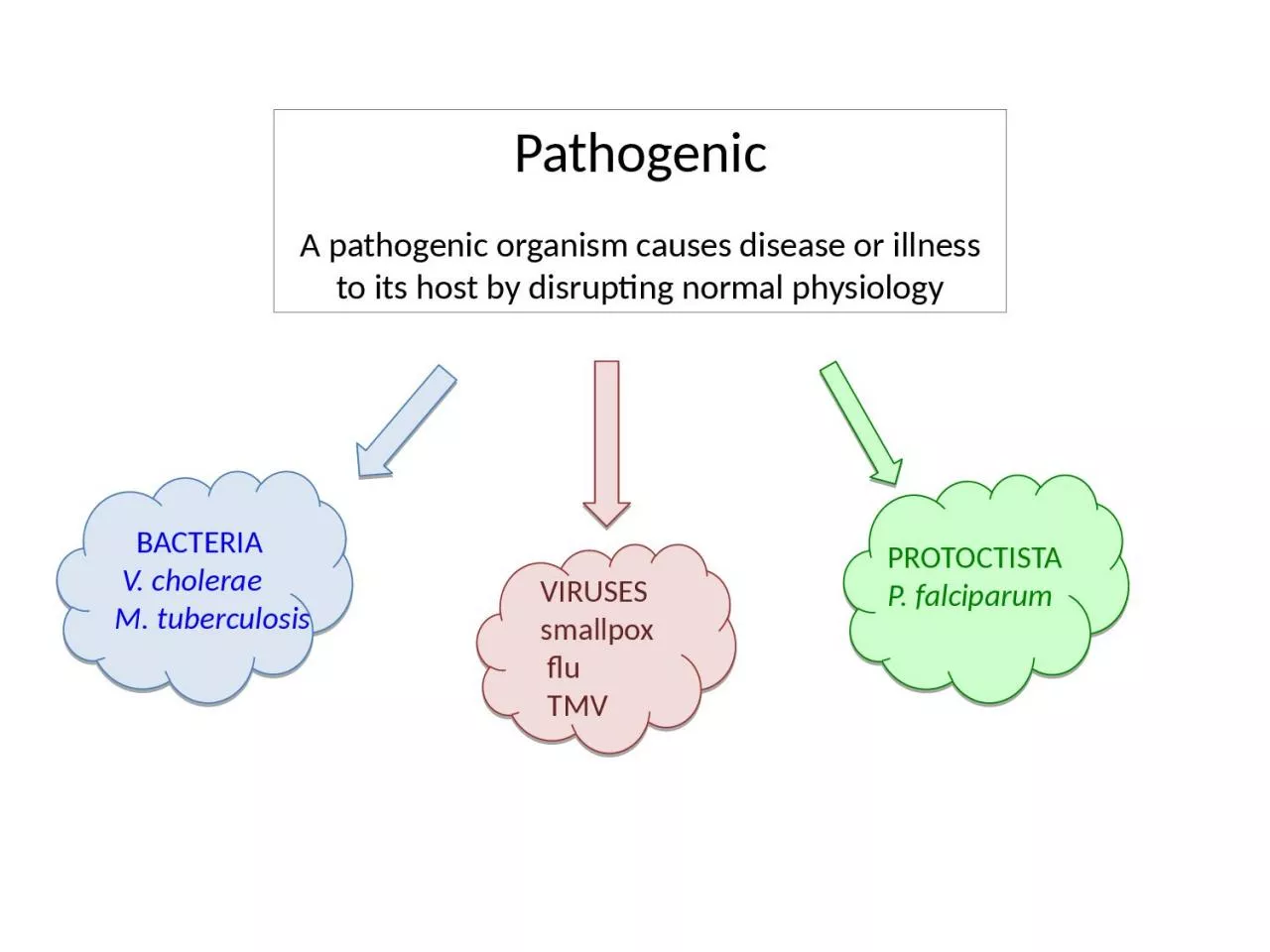 PPT-Pathogenic A pathogenic organism causes disease or illness to its host by disrupting normal