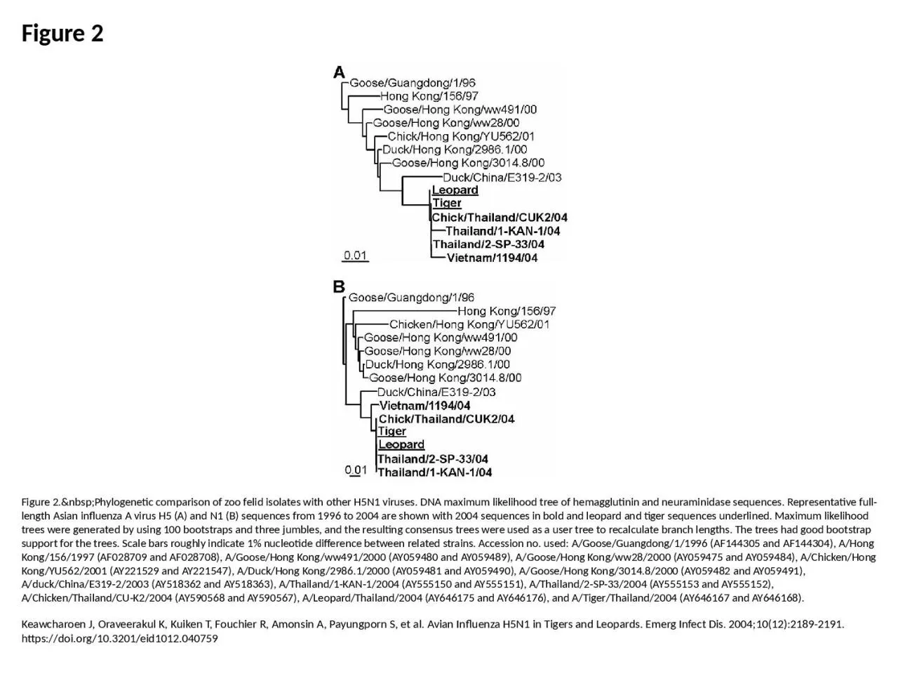 PPT-Figure 2 Figure 2.&nbsp;Phylogenetic comparison of zoo felid isolates with other H5N1