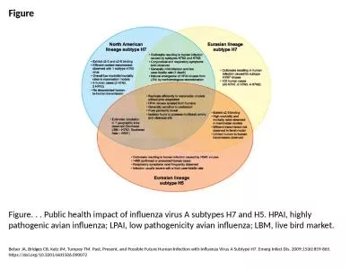 Figure Figure. . . Public health impact of influenza virus A subtypes H7 and H5. HPAI,