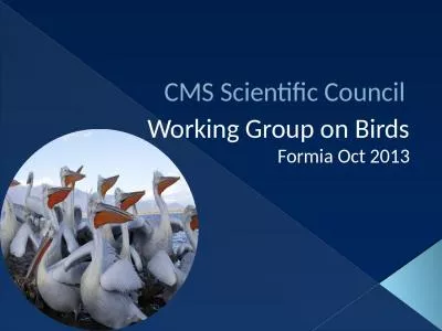 CMS Scientific Council  Working Group on Birds