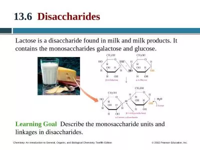 13.6    Disaccharides Lactose is