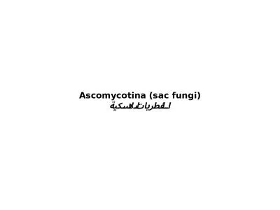 Ascomycotina   (sac fungi)