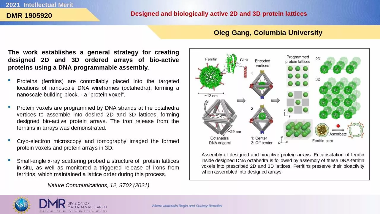 Designed and biologically active 2D and 3D protein lattices
