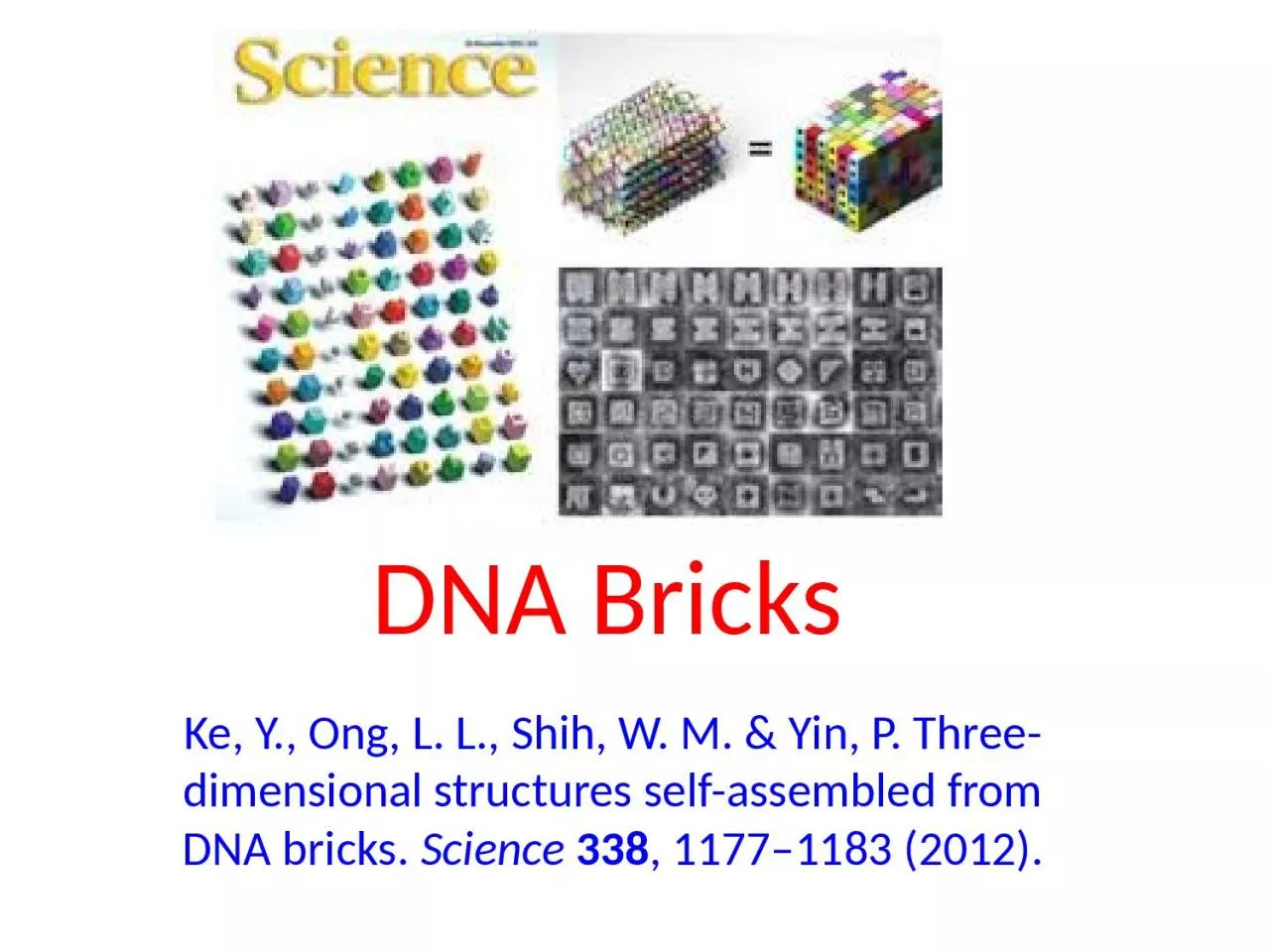 DNA Bricks Ke , Y.,  Ong