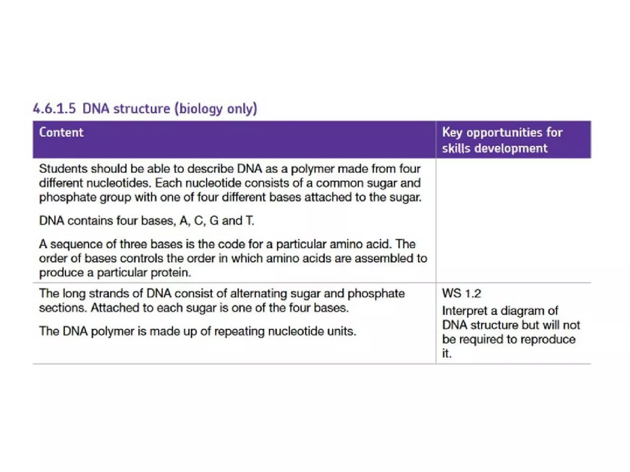 PPT-LO: Describe the structure of DNA using diagrams.