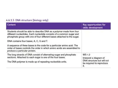 LO: Describe the structure of DNA using diagrams.