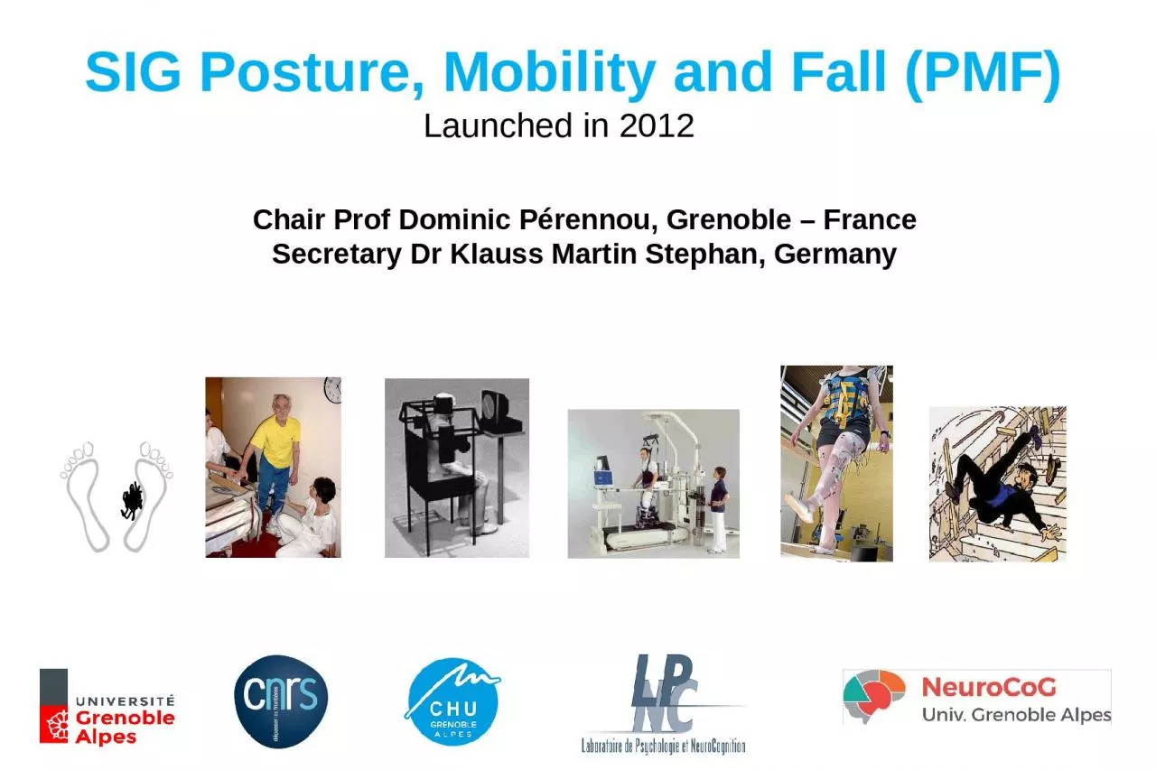 PPT-SIG Posture, Mobility and