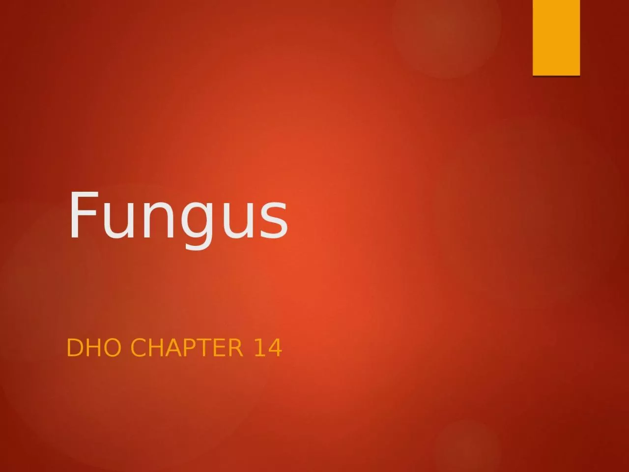 PPT-Fungus DHO Chapter 14 Fungi