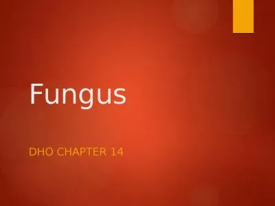 Fungus DHO Chapter 14 Fungi