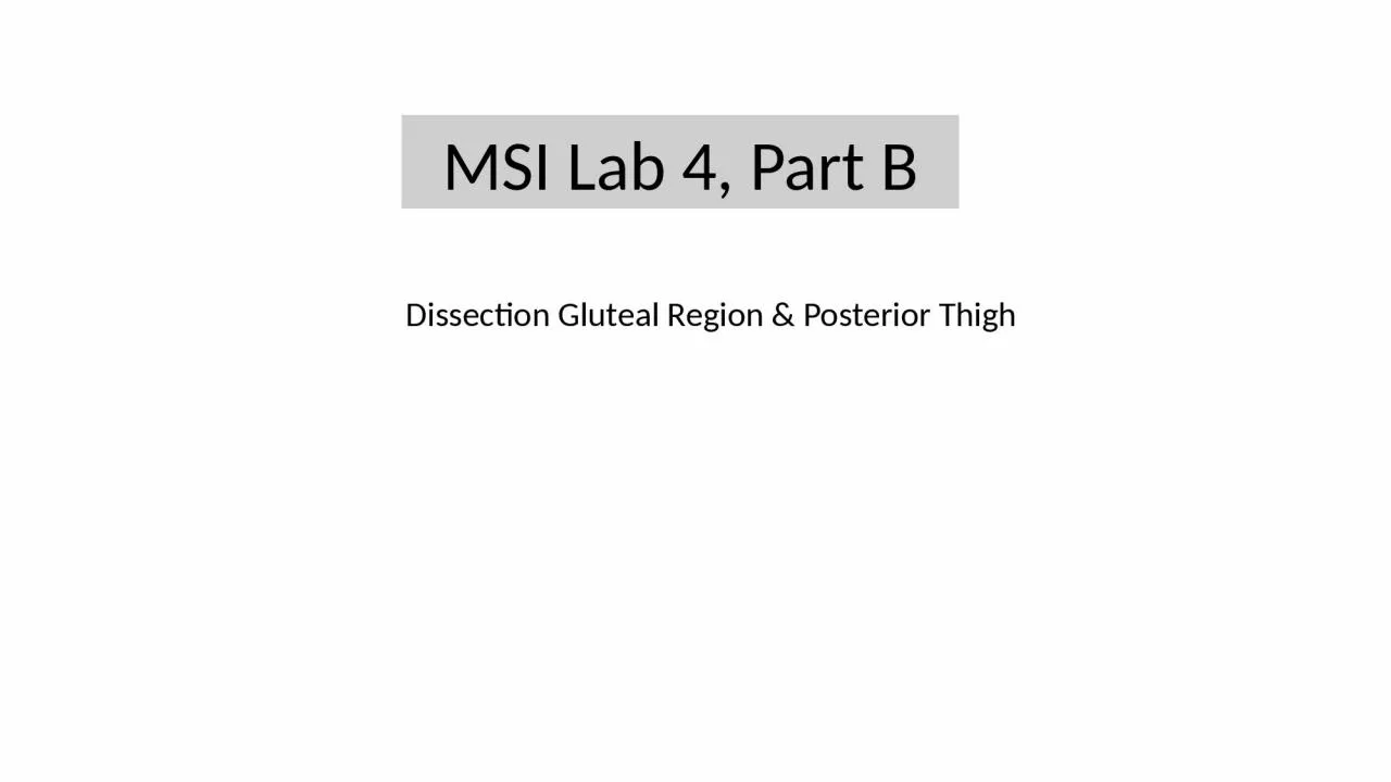 MSI Lab 4, Part B Dissection Gluteal Region & Posterior Thigh