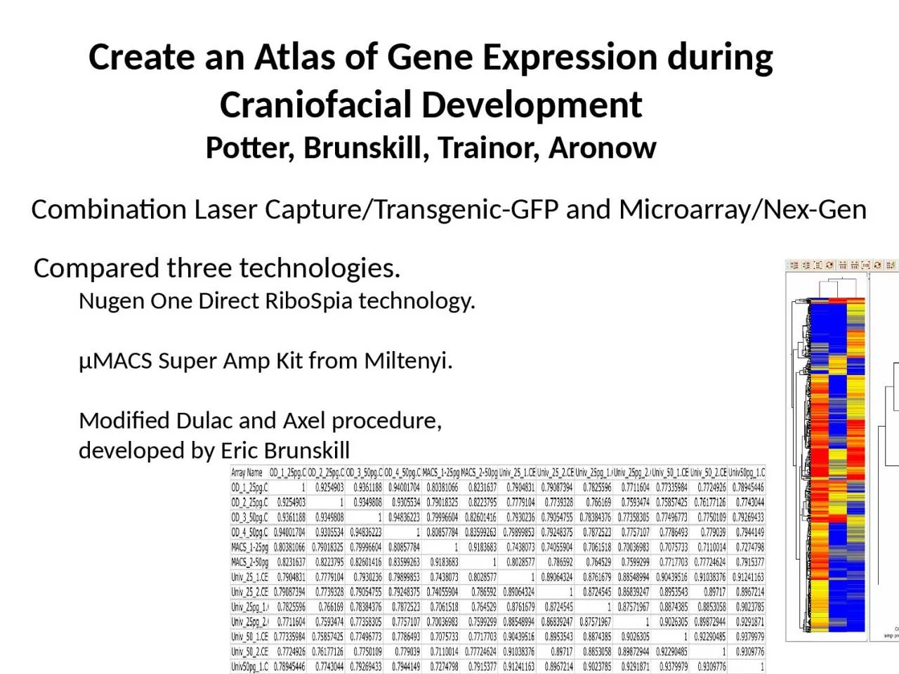 PPT-Create an Atlas of Gene Expression during Craniofacial Development