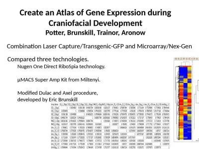 Create an Atlas of Gene Expression during Craniofacial Development