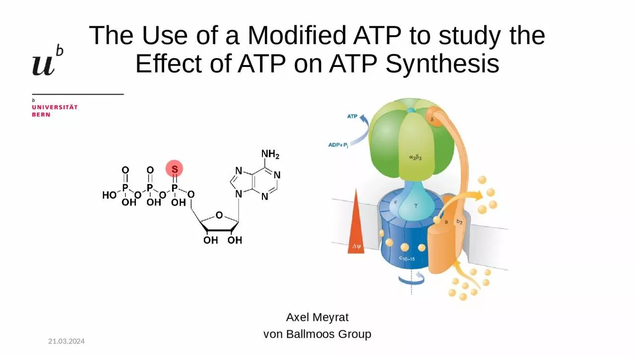 The Use of a Modified ATP to study the