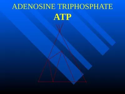 ADENOSINE TRIPHOSPHATE ATP
