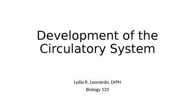 Development of the Circulatory System