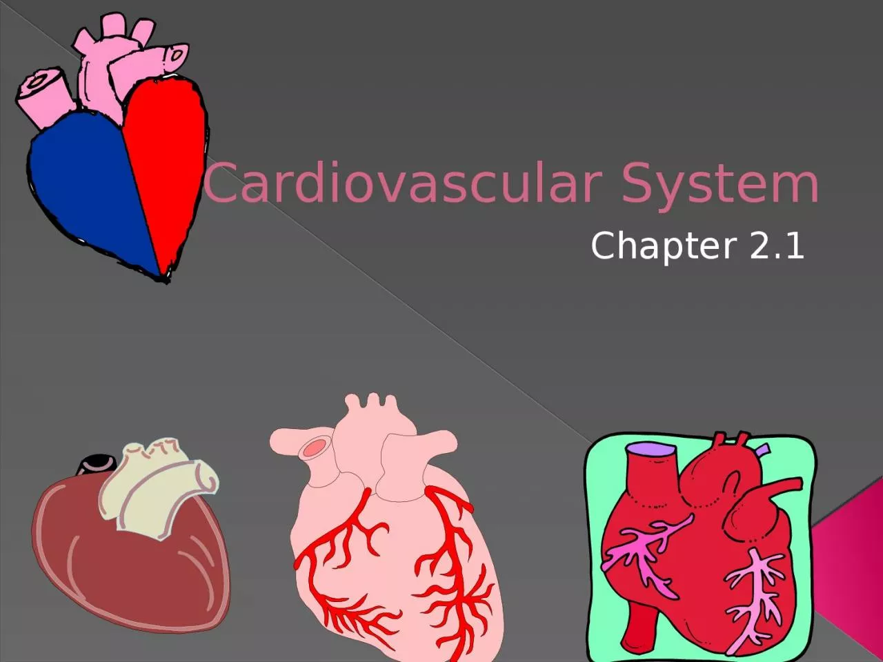 PPT-Cardiovascular System Chapter 2.1