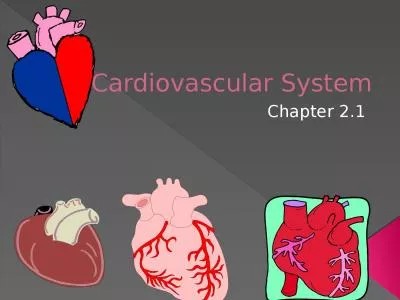 Cardiovascular System Chapter 2.1