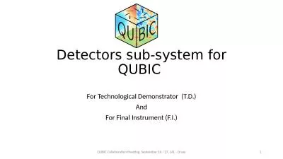 Detectors  sub -system for QUBIC