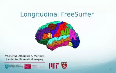 Longitudinal  FreeSurfer