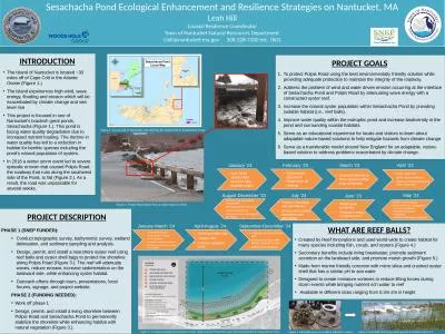 Sesachacha Pond Ecological Enhancement and Resilience Strategies on Nantucket, MA