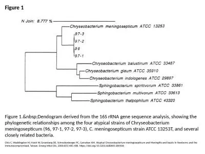 Figure 1 Figure 1.&nbsp;Dendogram derived from the 16S rRNA gene sequence analysis,