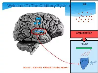 Welcome To The  Odditory