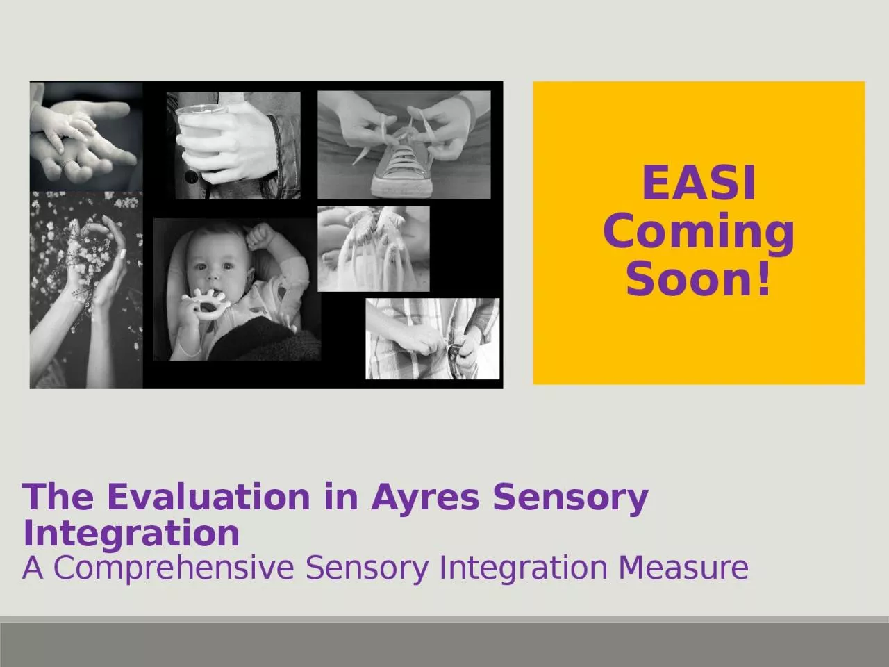 PPT-The Evaluation in Ayres Sensory