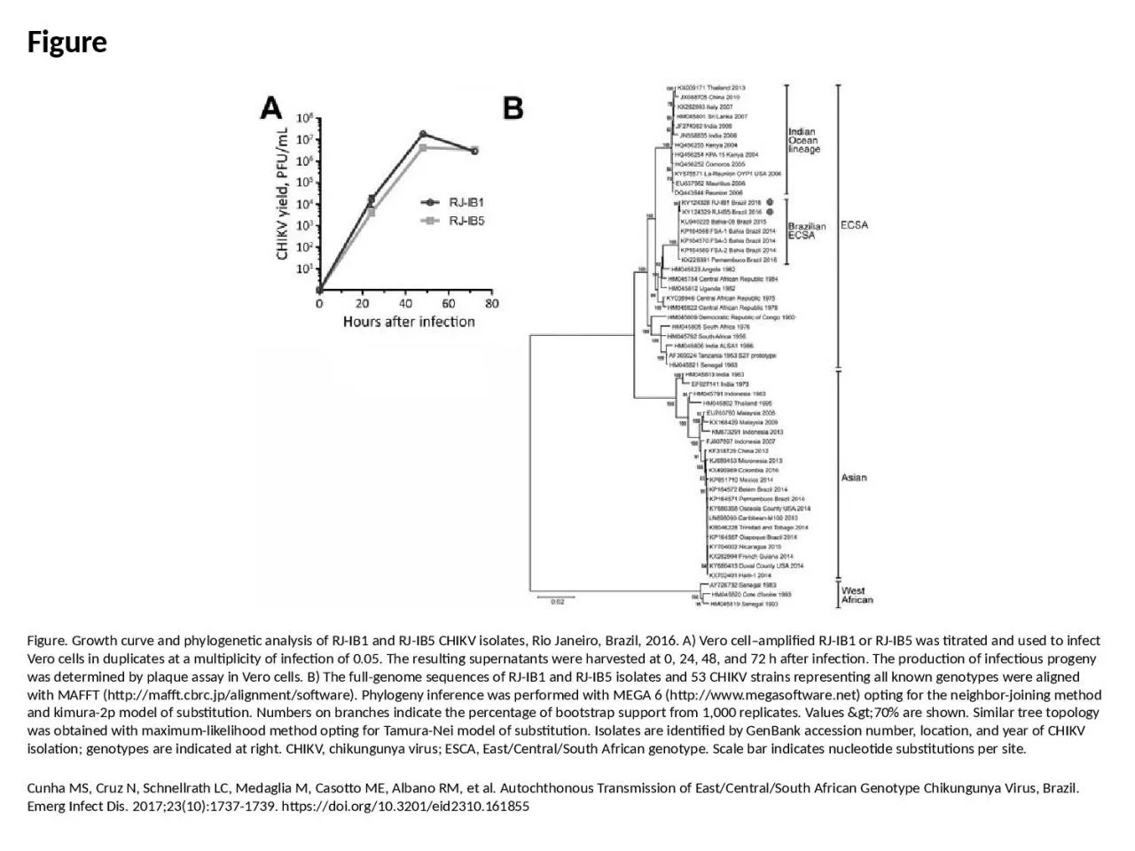 PPT-Figure Figure. Growth curve and phylogenetic analysis of RJ-IB1 and RJ-IB5 CHIKV isolates,