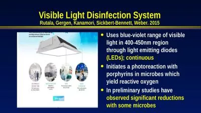 Visible Light Disinfection System