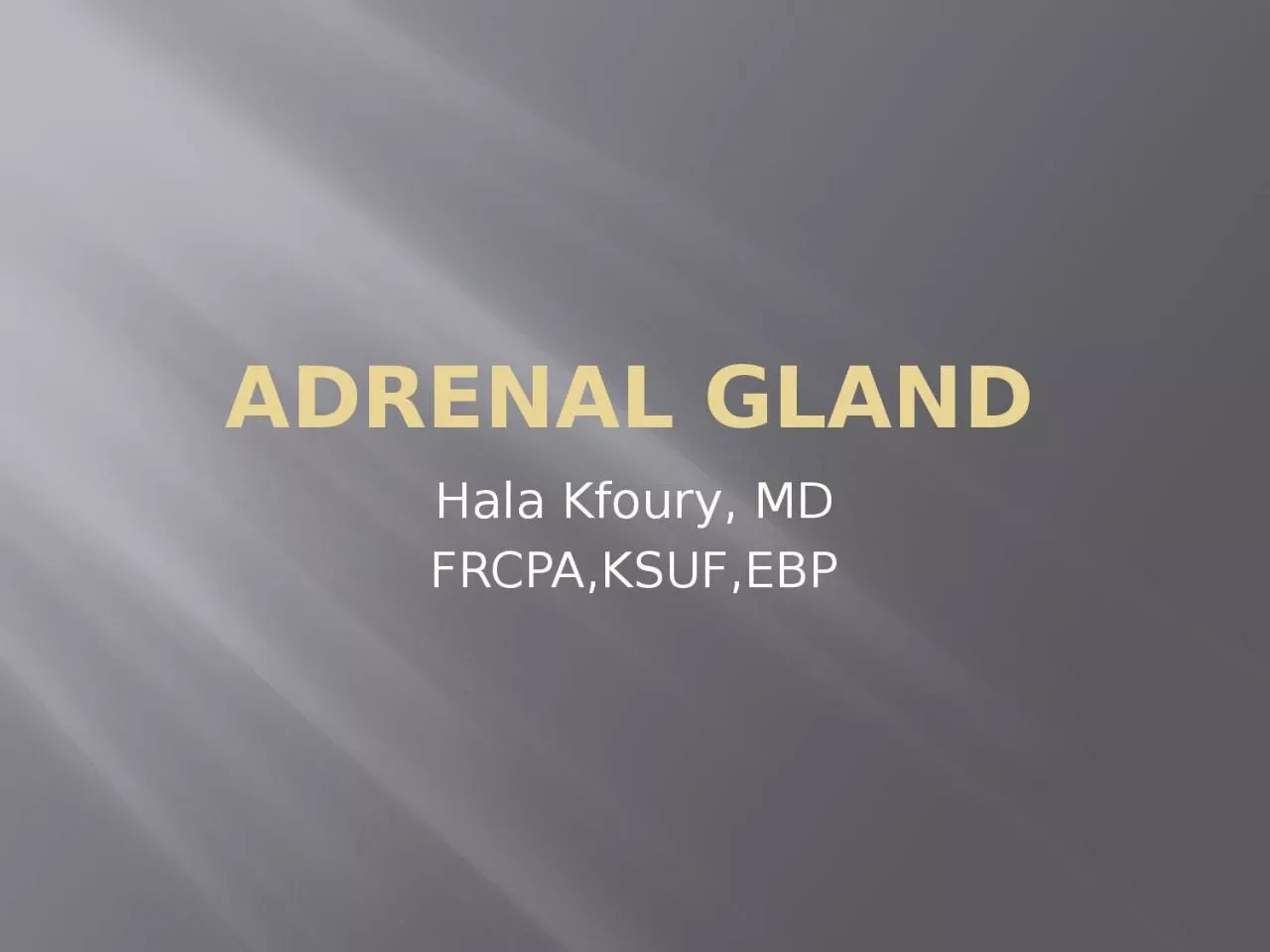 Adrenal Gland Hala   Kfoury