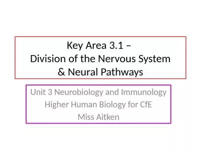 Key Area 3.1 –  Division of the Nervous System