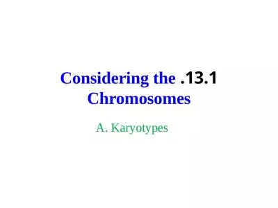 13.1.  Considering the Chromosomes