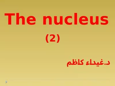 (2) The nucleus د.غيداء