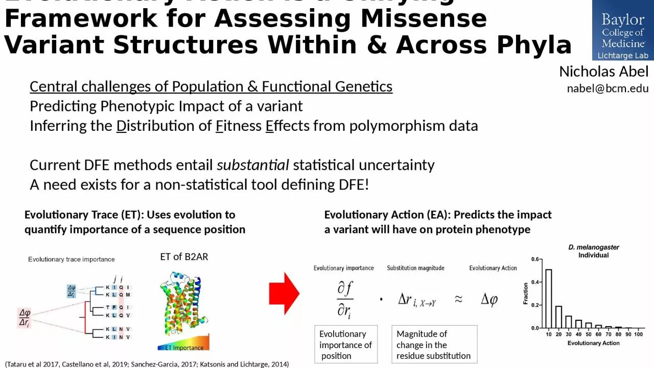 PPT-Evolutionary Action is a Unifying Framework for Assessing Missense Variant Structures