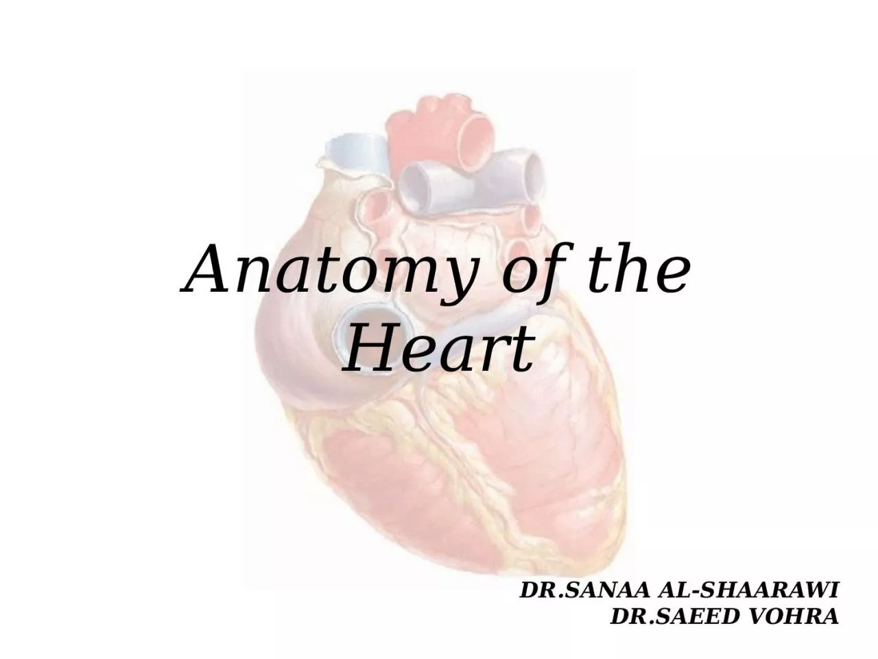 PPT-Anatomy of the Heart DR.SANAA AL-SHAARAWI