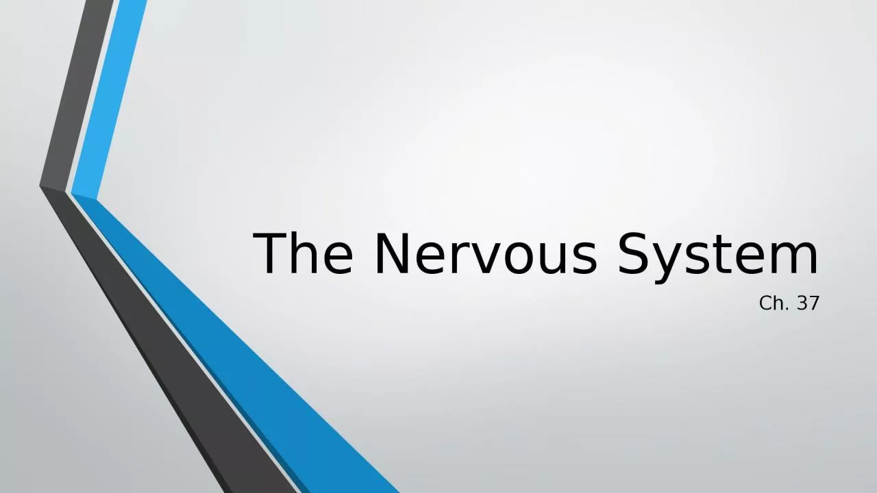 PPT-The Nervous System Ch. 37