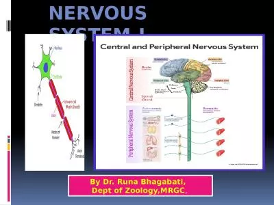 NERVOUS SYSTEM-I By Dr. Runa Bhagabati,