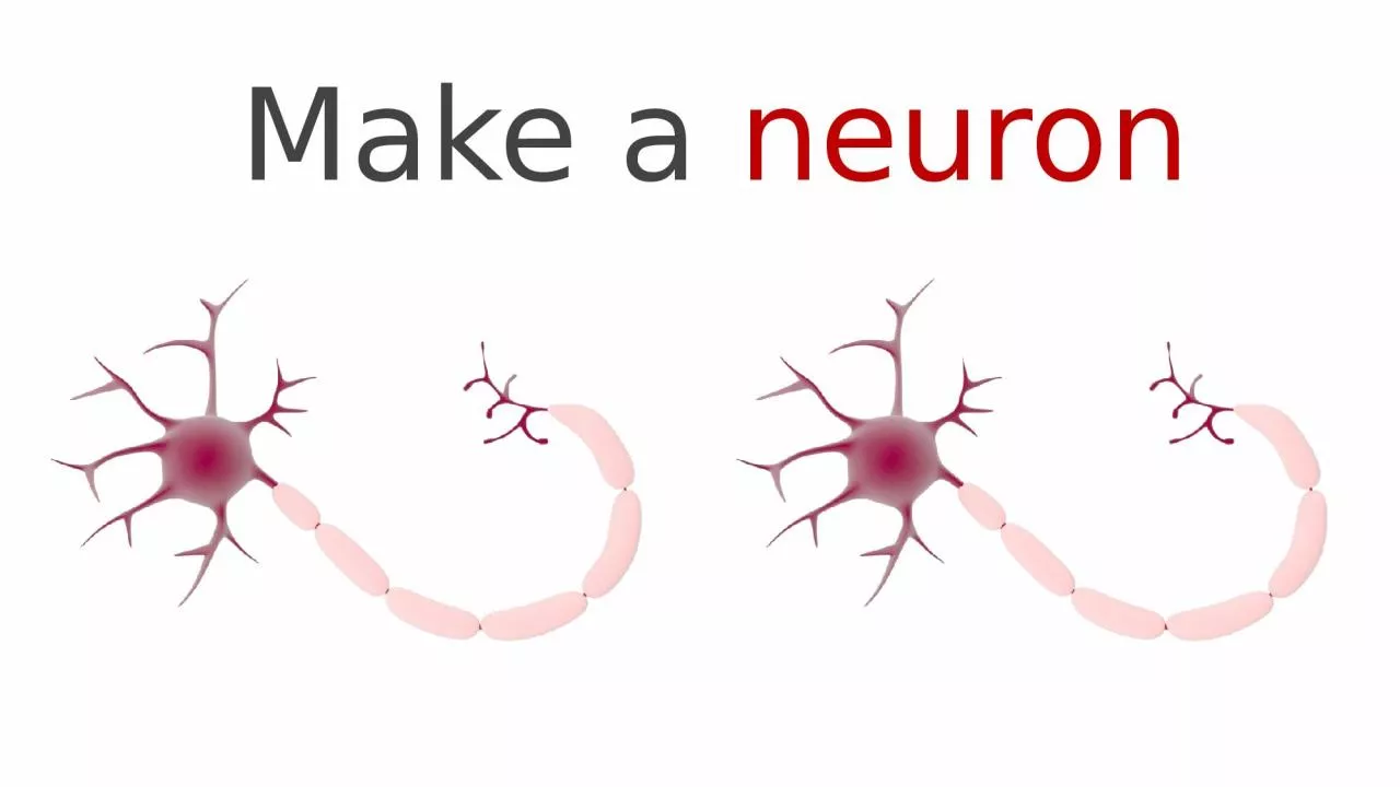Make a  neuron You will