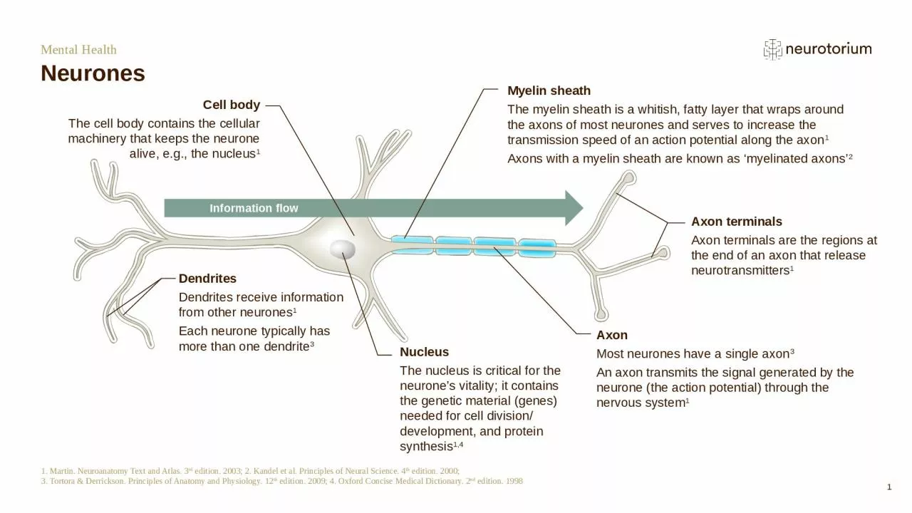 PPT-Mental Health Neurones 1. Martin. Neuroanatomy Text and Atlas. 3