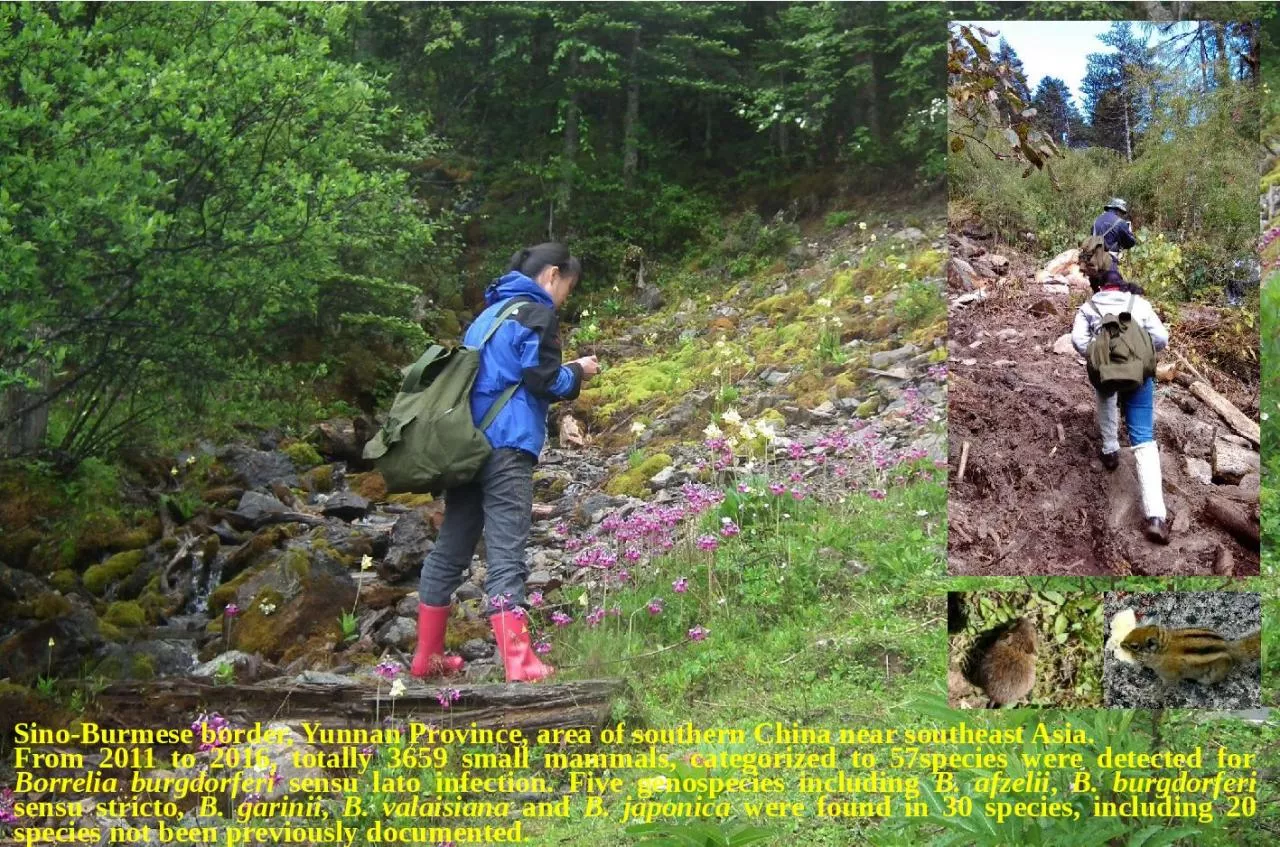 PPT-Sino-Burmese border, Yunnan Province, area of southern China near southeast Asia.