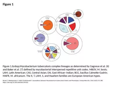 Figure 1 Figure 1.&nbsp;Mycobacterium tuberculosis complex lineages as determined by Gagneux et