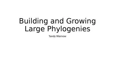 Building and Growing Large Phylogenies