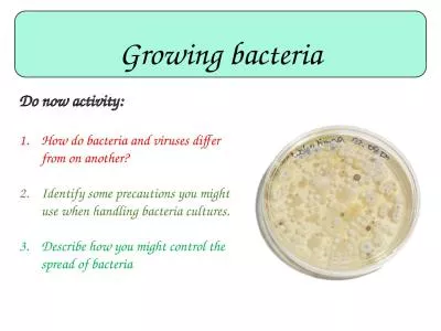 Growing bacteria Do now activity: