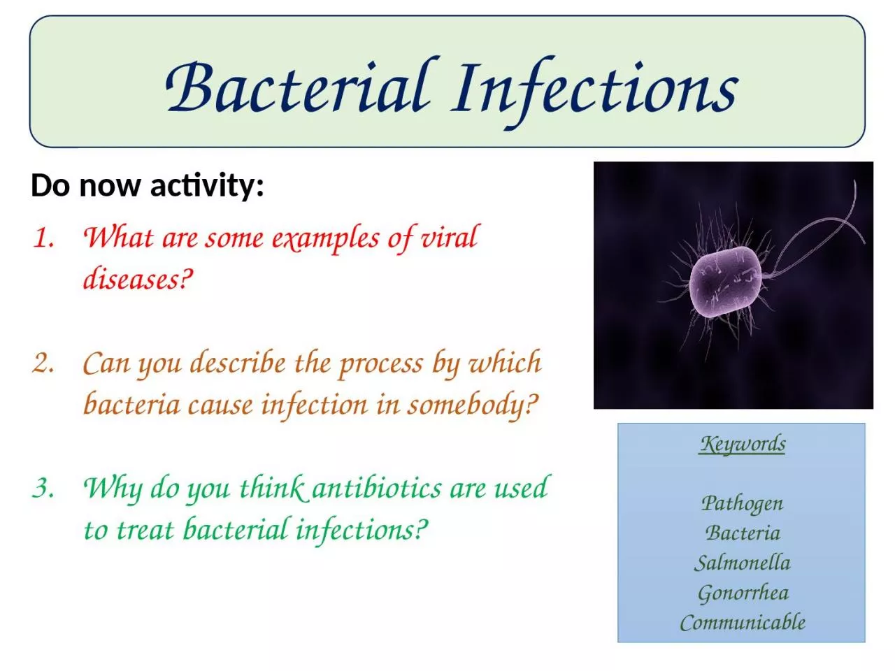 PPT-Bacterial Infections Keywords