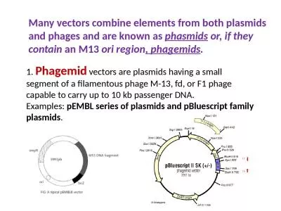 Many vectors combine  elements from both plasmids