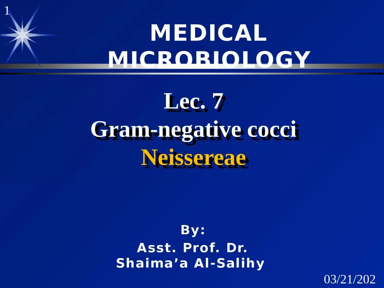 Lec . 7 Gram-negative cocci
