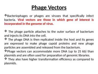 Phage Vectors Bacteriophages