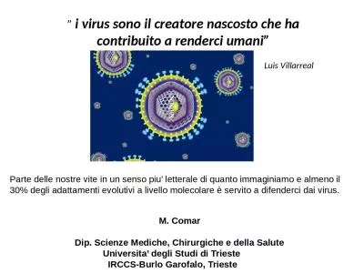 ”  i virus sono il creatore nascosto che ha contribuito a renderci umani”